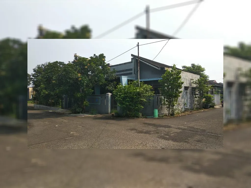 WhatsApp Image 2023-01-12 at 09.41.02.jpeg